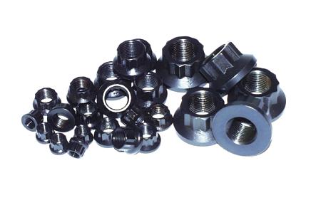 ARP 9/16in -18 12pt Nut Kit