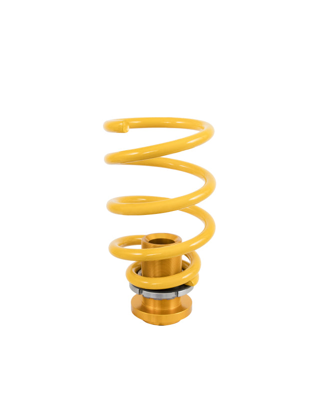 Photo - Unmounted