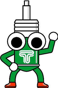 Tein Air Freshener - Cran/Orange