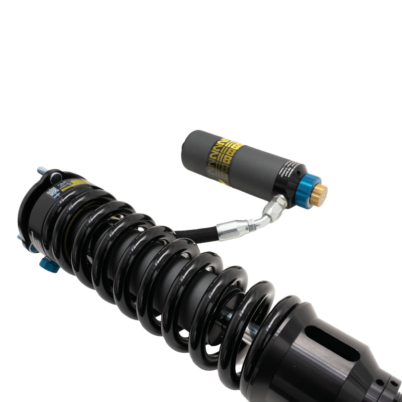 Photo - Mounted