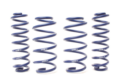 H&amp;R 54655 Lift Springs for 2019-2025 Toyota RAV4/2022-2026 Lexus NX350